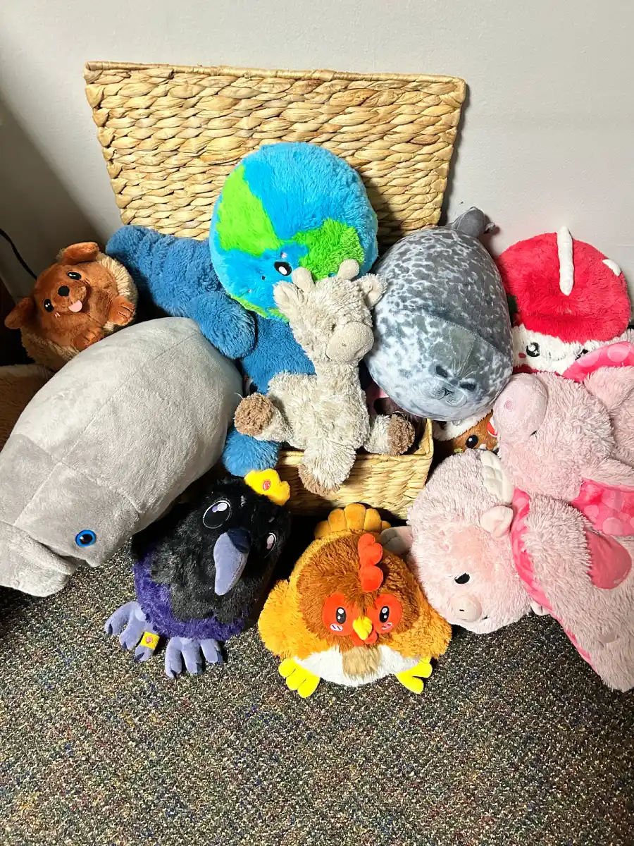 Ethan's mountain of plushies.