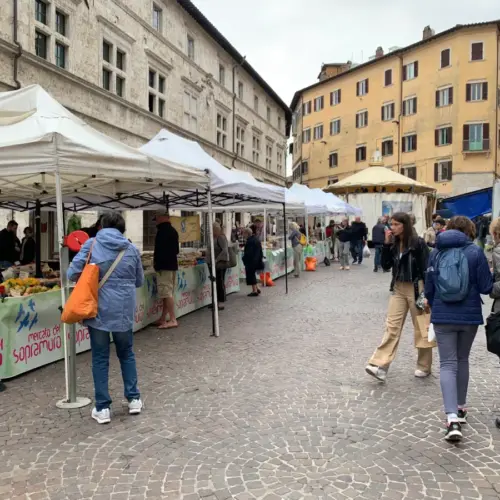 Some shops on the street in Italy.