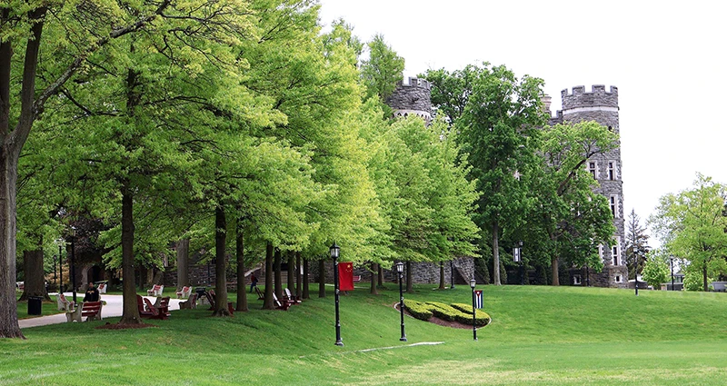 The castle in spring