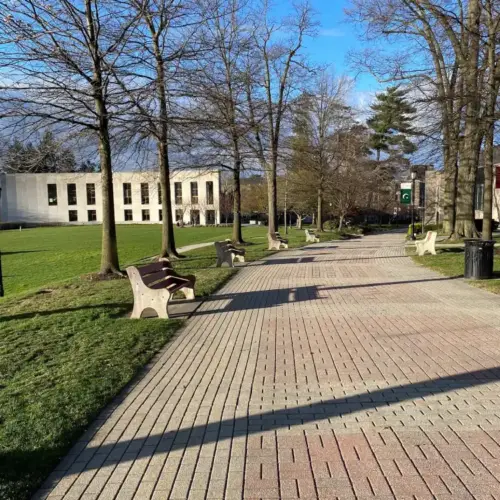 The walk of pride on campus.