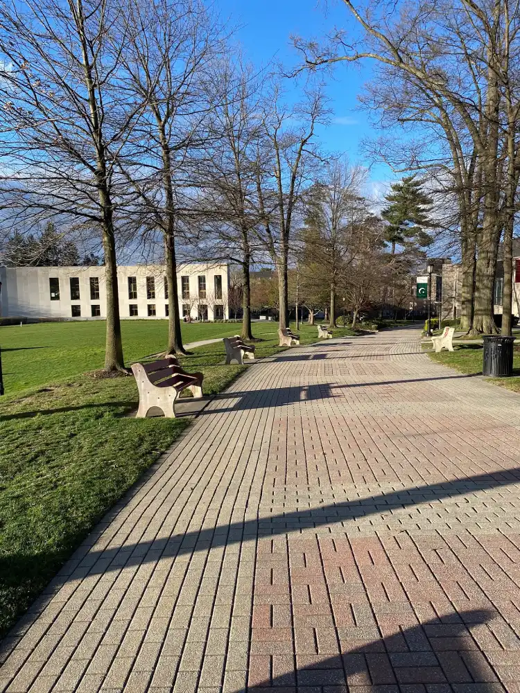 The walk of pride on campus.