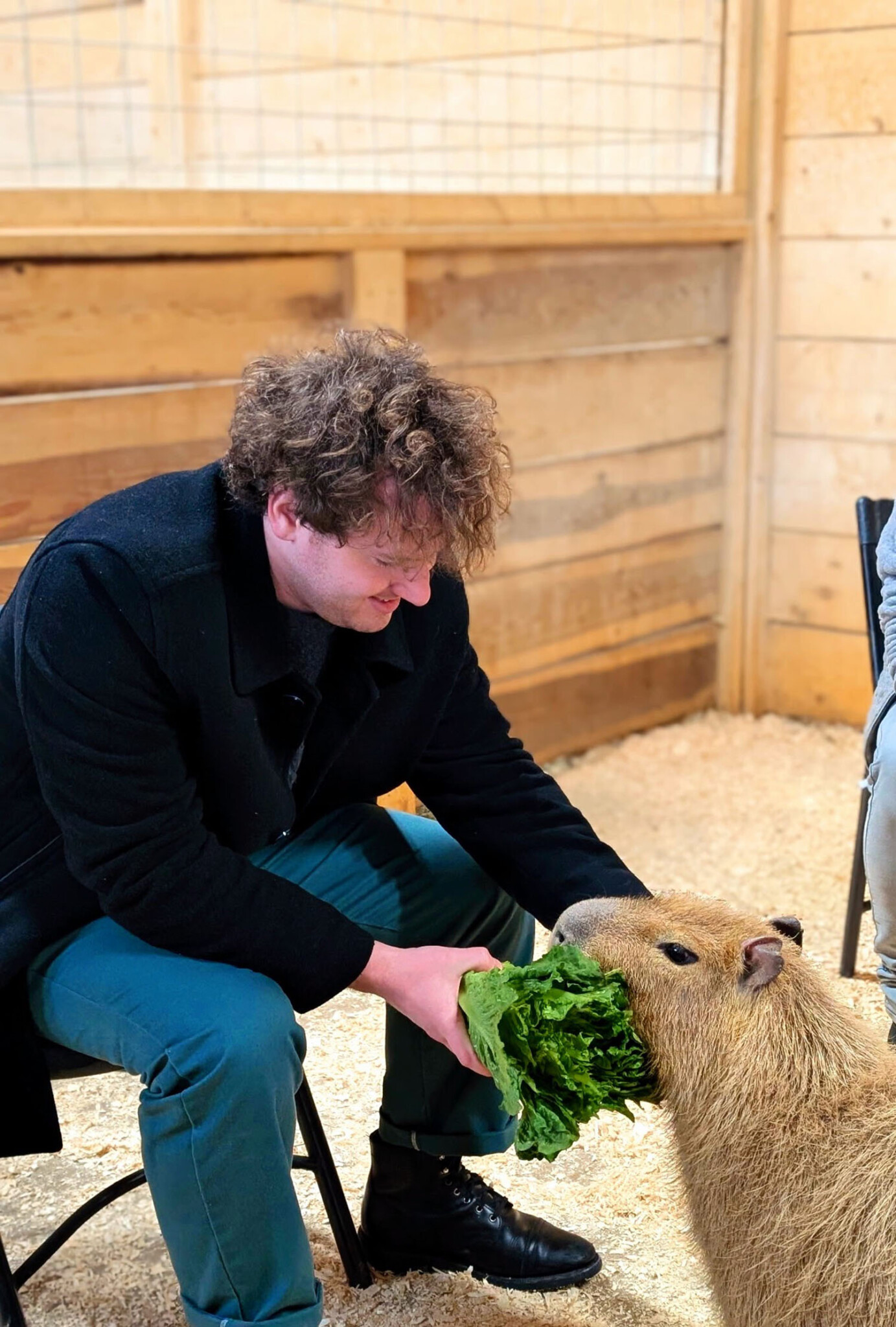 Wilkes ’25 feeding a capybara.