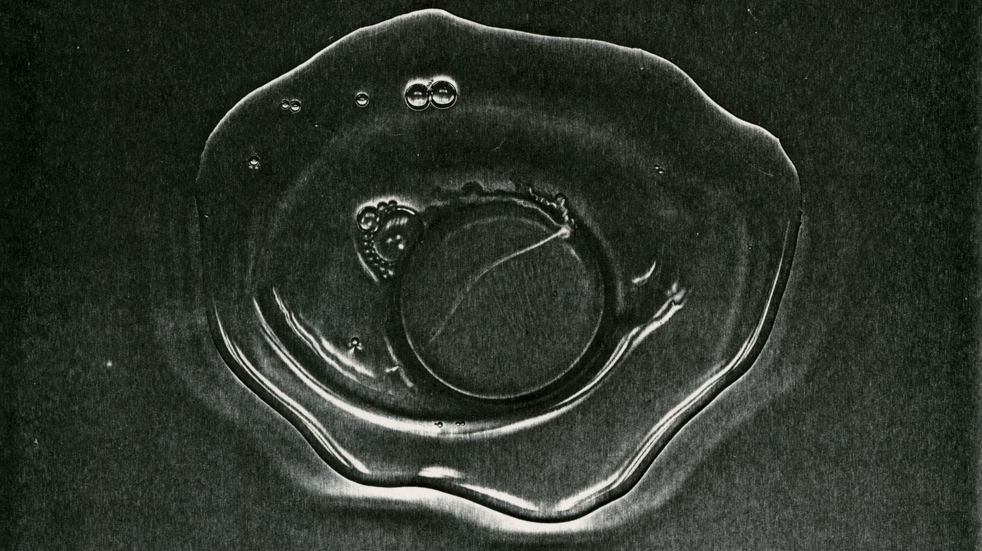 Black and white scan of a raw egg. Pati Hill.