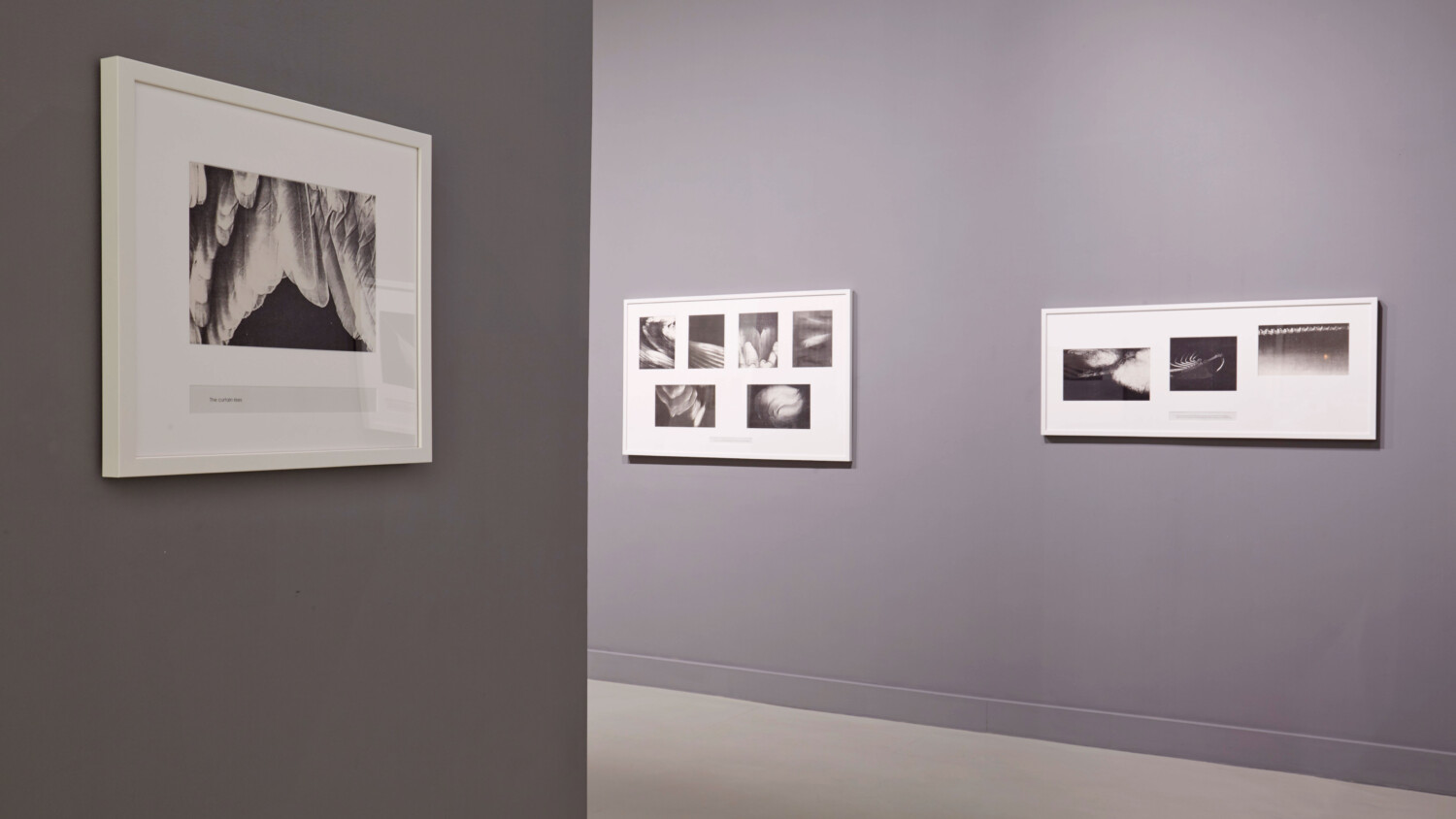 installation view of pati hill