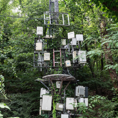 June Lee's photograph that was selected for Laudato Si’: Caring for Our Common Home.