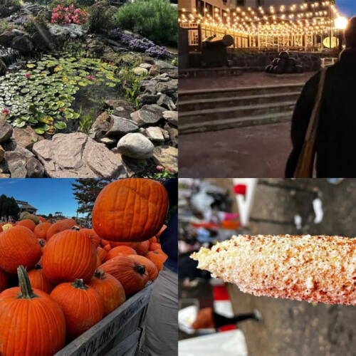A collage from destinations Jamai Vann ’28 visited for her blog.