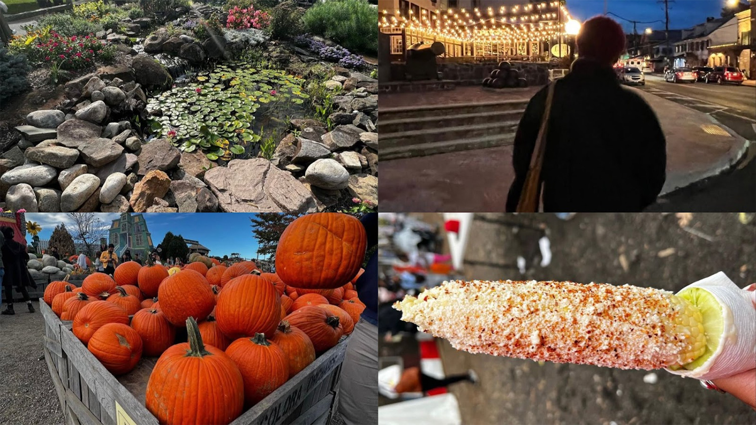 A collage from destinations Jamai Vann ’28 visited for her blog.
