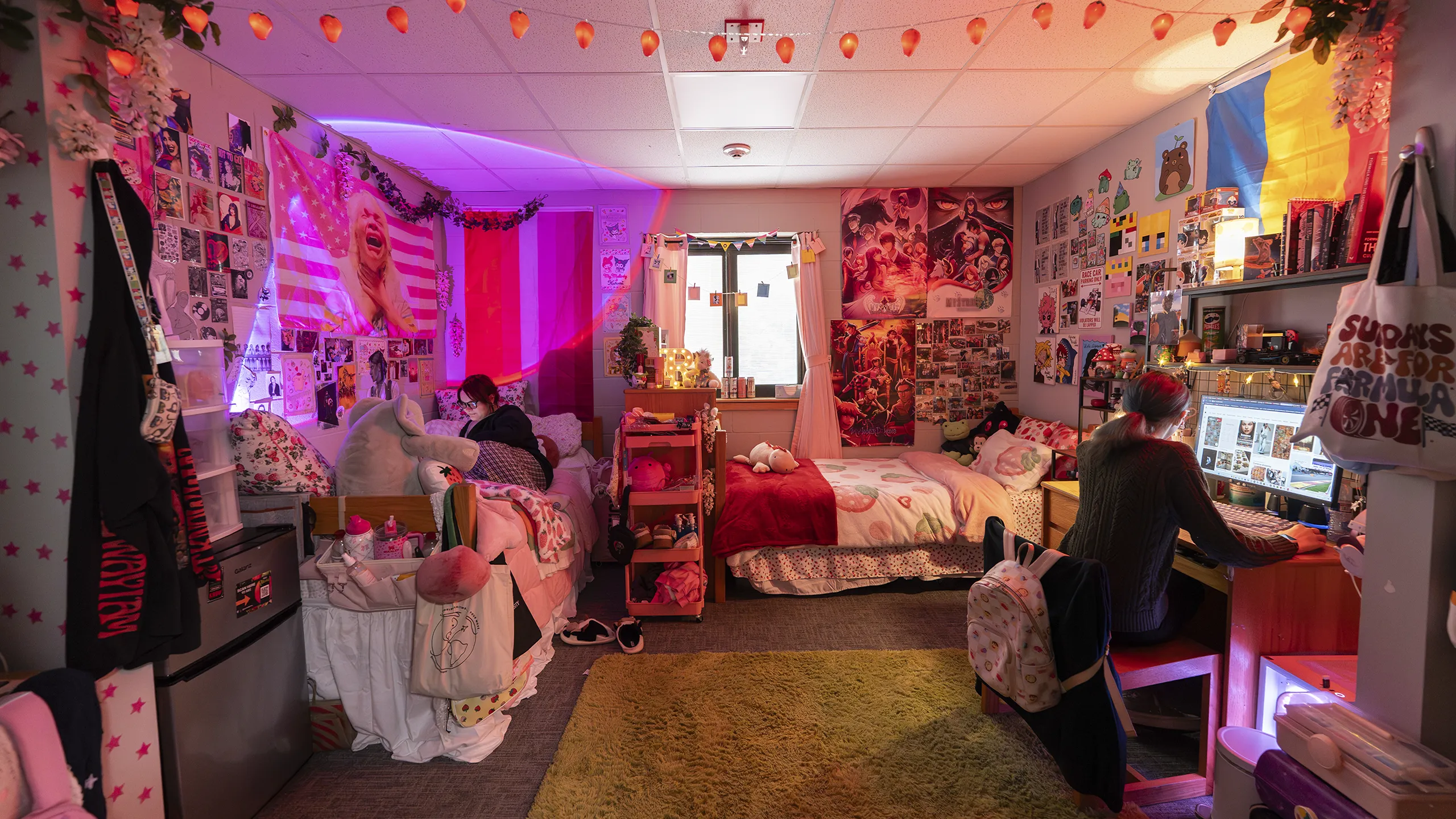 A warm pink light fills a Knight Hall second floor double room.