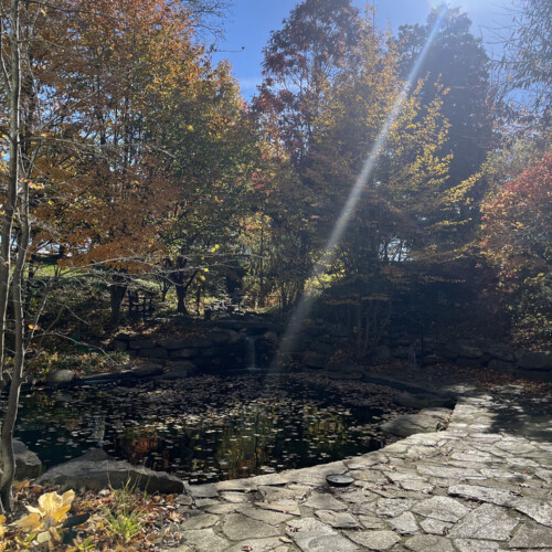 Easton Pond in the fall.