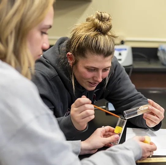 In a lab setting, two students share a project involving a split glass test tube.
