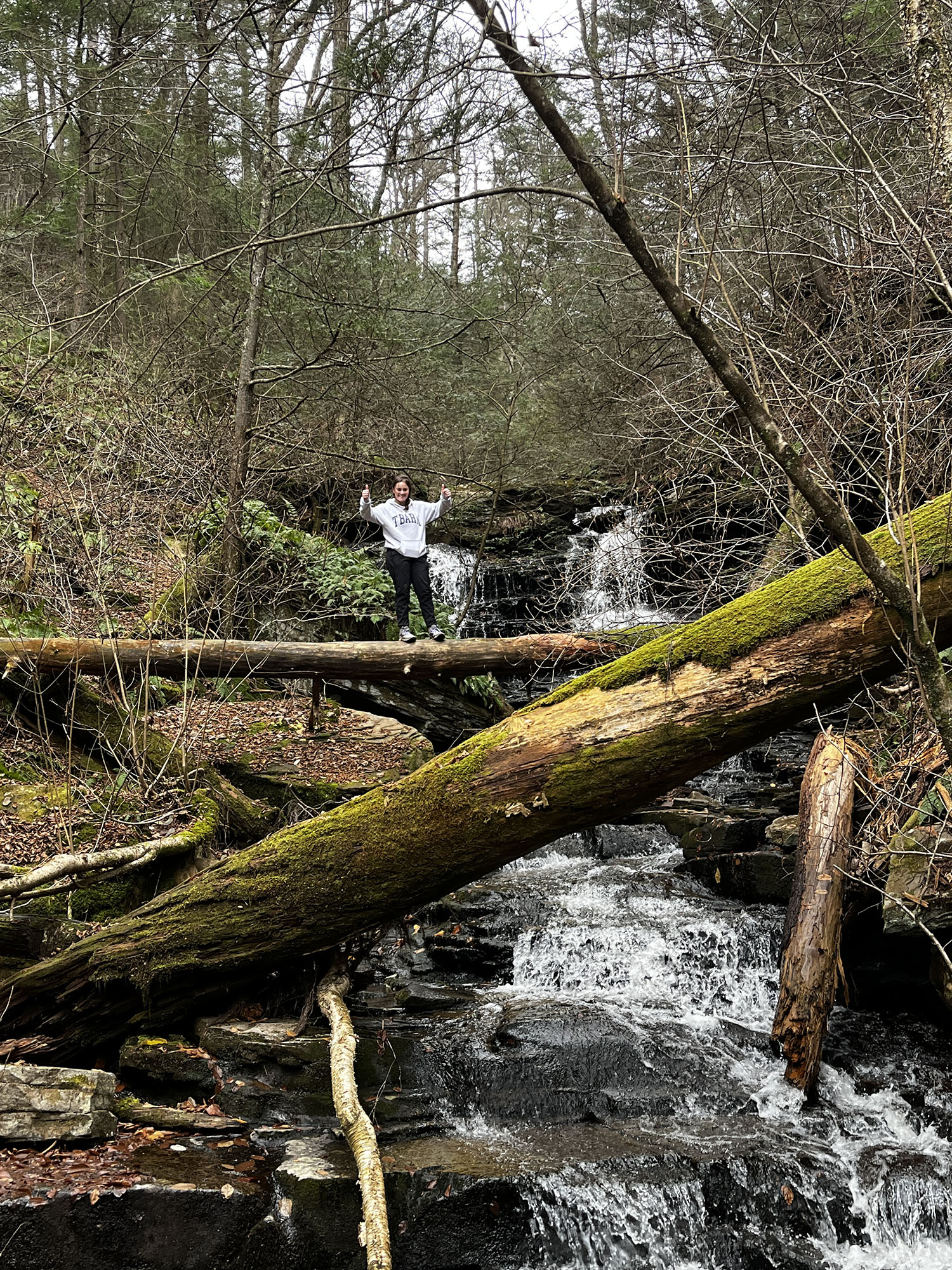 A student standing on a tree on a Hiking Club trip.