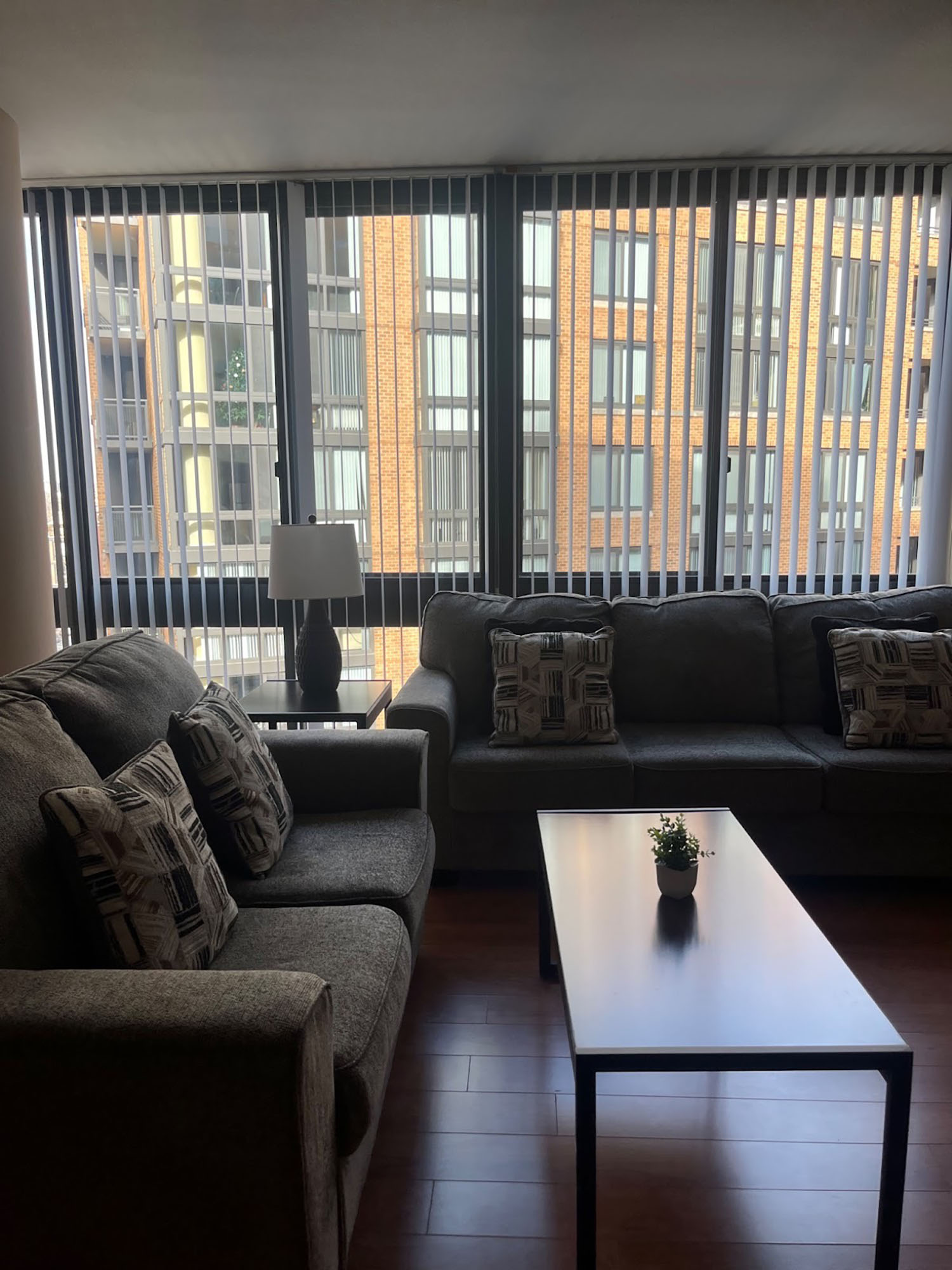 Lily Roberti's Washington, D.C. apartment.