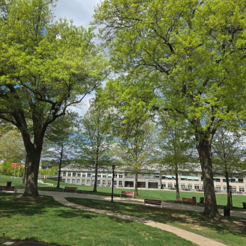 The top of Arcadia's Walk of Pride.