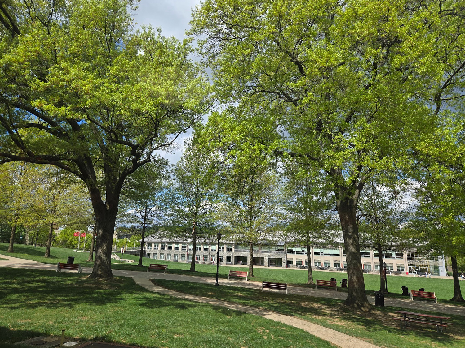 The top of Arcadia's Walk of Pride.