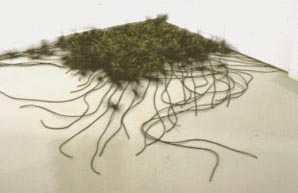 photo of a green sculpture with green strings flowing out.