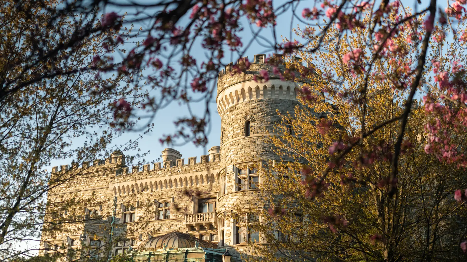 A view of Grey Towers Castle in Spring with cherry blossoms in bloom.