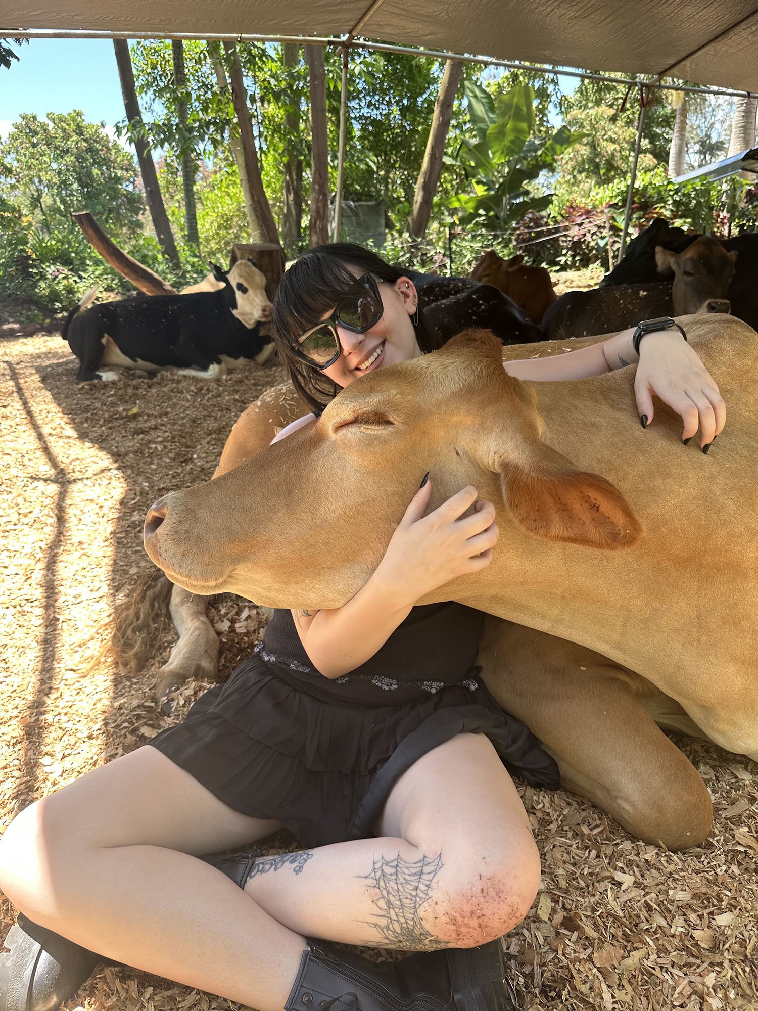 Emily Mayerberg ’26 hugging a cow.