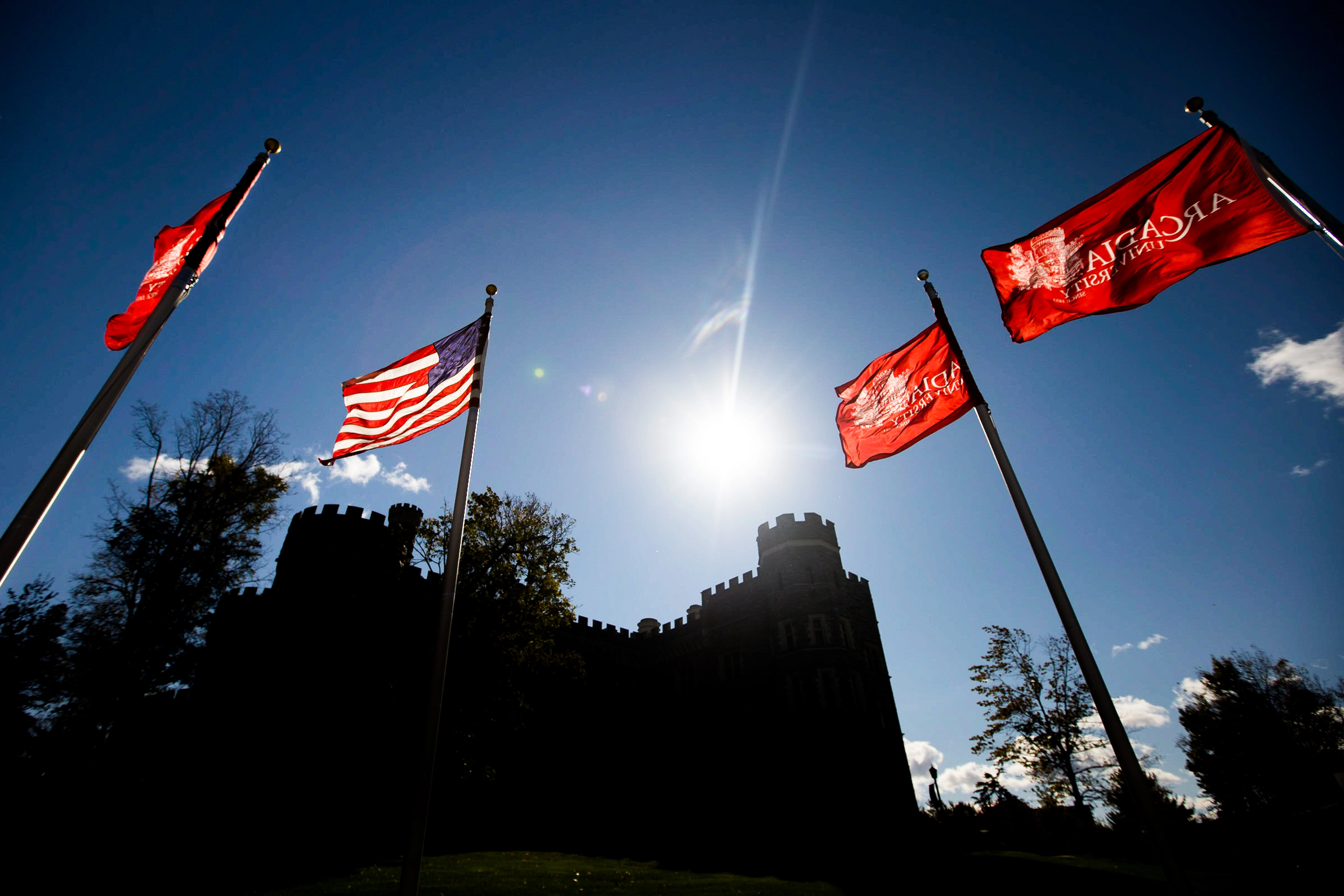 Flags in the sun with the Castle