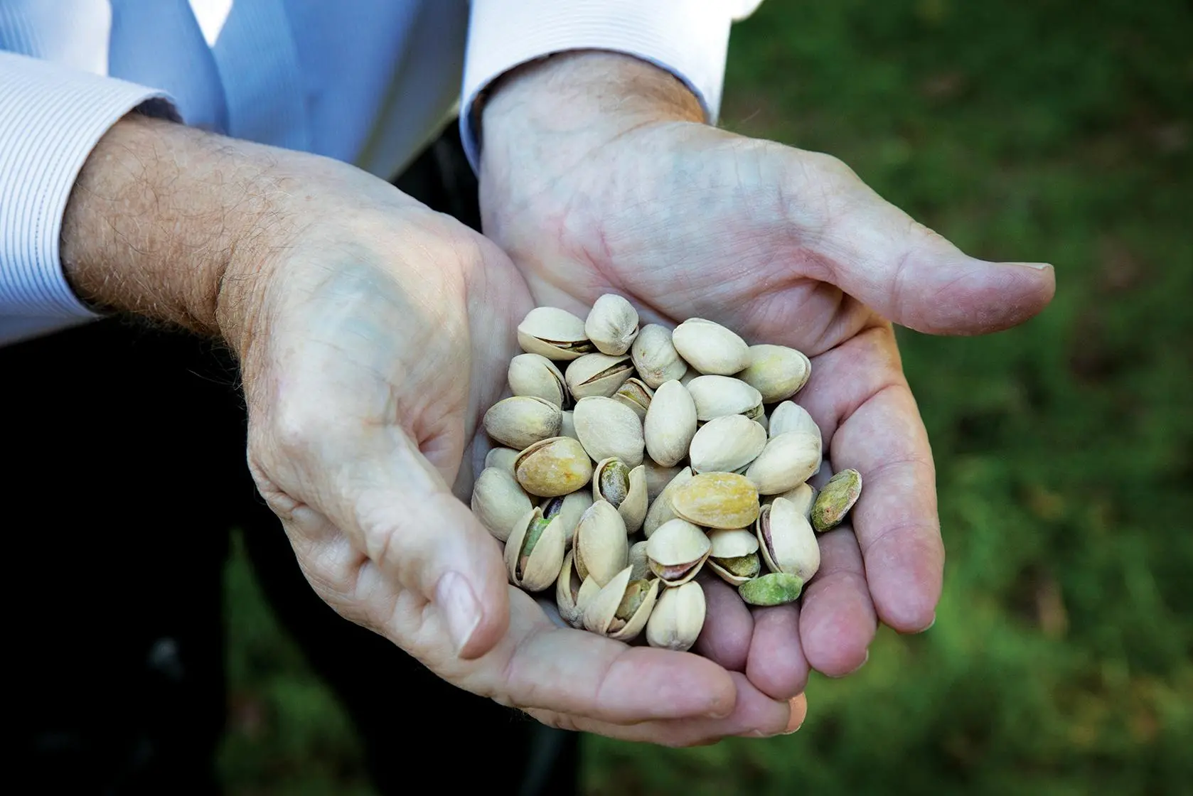 An image of cupped hands holding pistachios