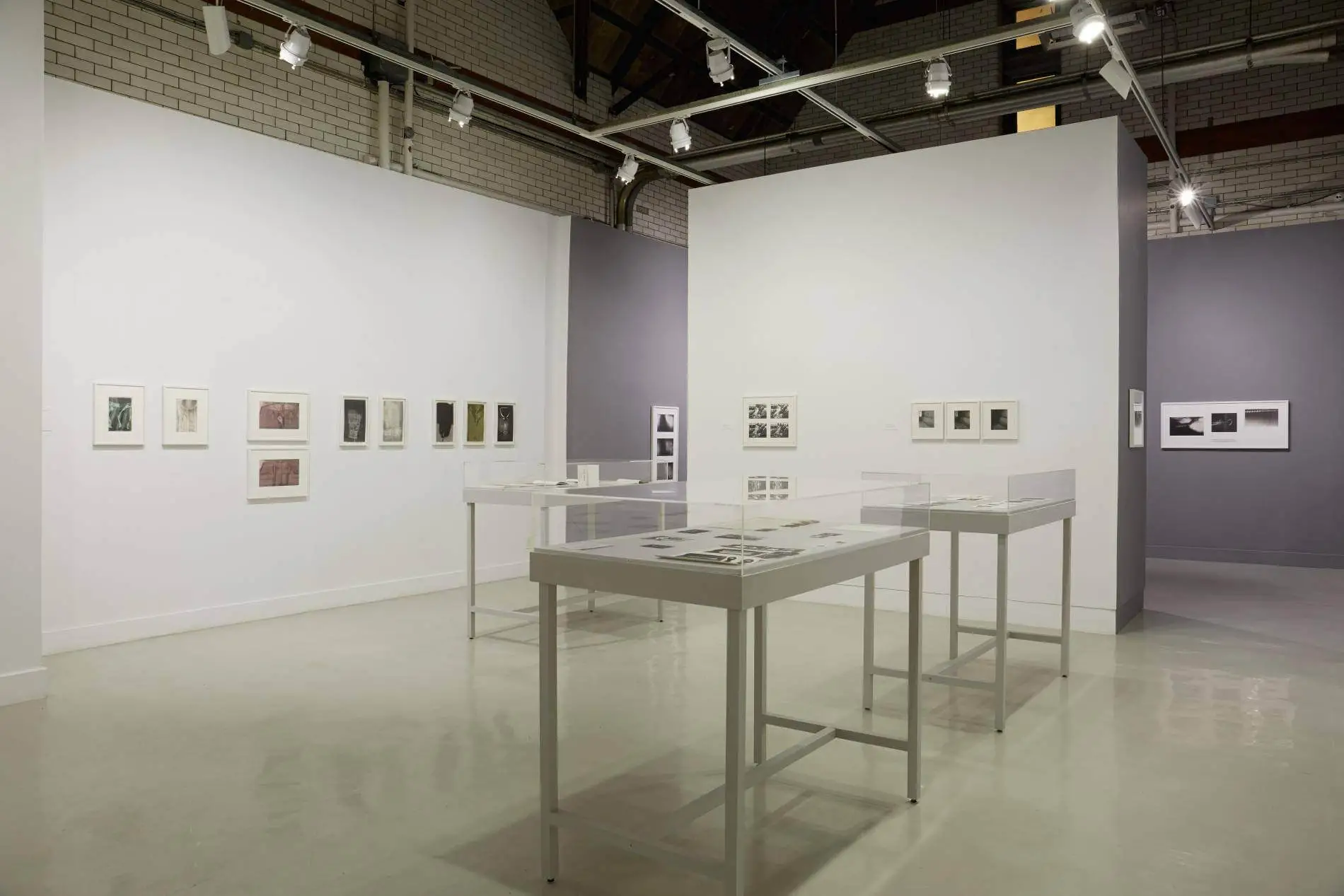 Photograph of exhibition space featuring Patti Hill's artwork.