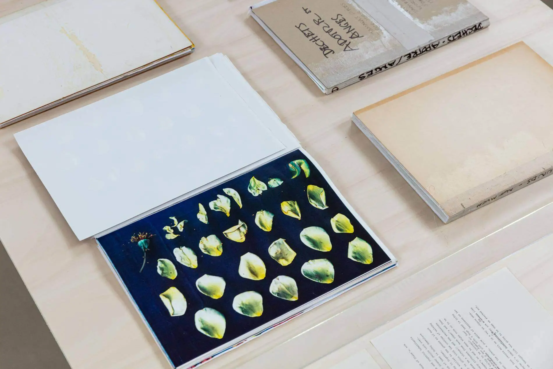 Patti Hill art prints on table alongside books.
