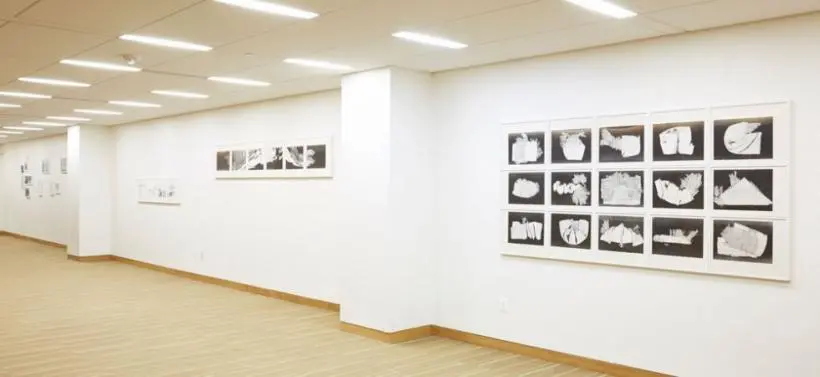Photograph of Commons Art Gallery exhibition space featuring Patti Hill's artwork.