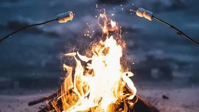 A campfire with two marshmallow sticks toasting.