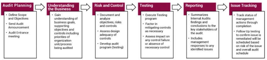 A chart shows six Audit Process and Phases