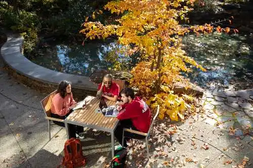 Students meet at a table outdoors at Easton Cafe
