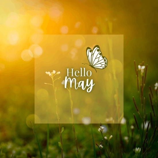 Cover art for the CTLM newsletter with a butterfly and spring flowers