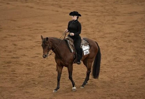 Sydney Doll ’23 [bay horse/Western hat] rides “Fred” at the National Championship in Harrisburg, Pa.
