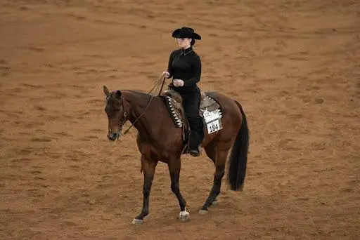Sydney Doll ’23 [bay horse/Western hat] rides “Fred” at the National Championship in Harrisburg, Pa.