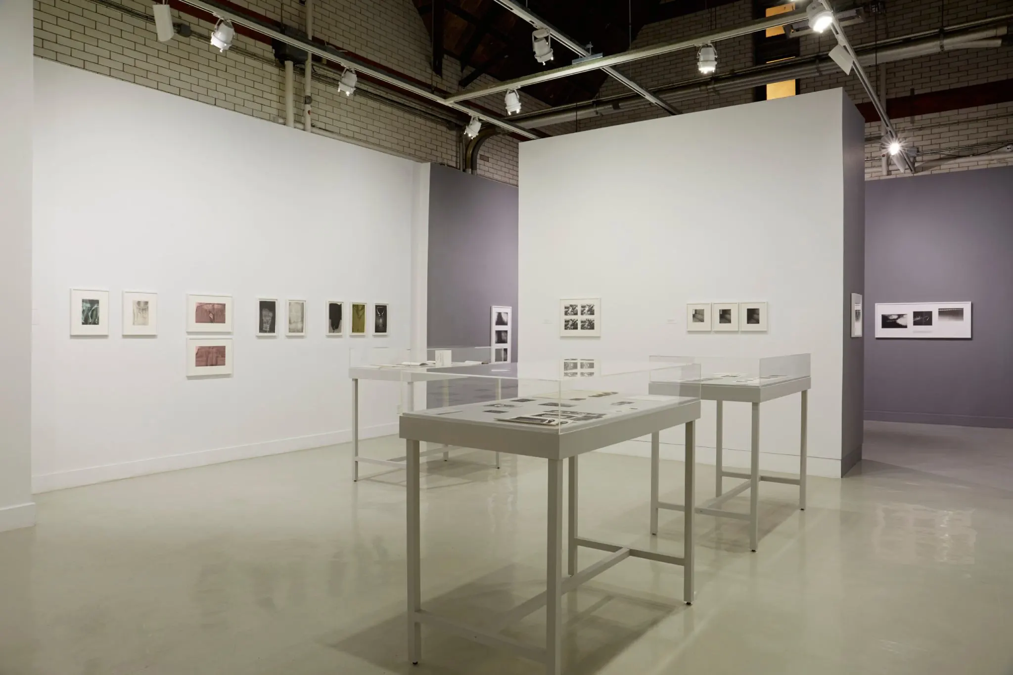 Installation view from Pati Hill: Photocopier - A Survey of Prints and Books (1974 - 83).