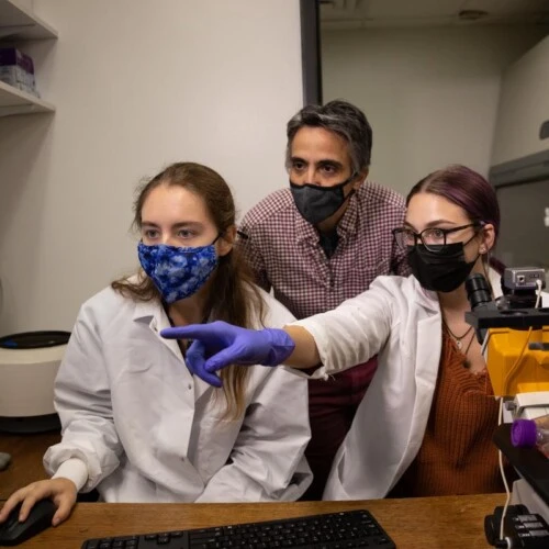 Professor Maria Theodoraki oversees research by Michelle Frank '23 and Katelin Decker '23 in the cell bio lab.