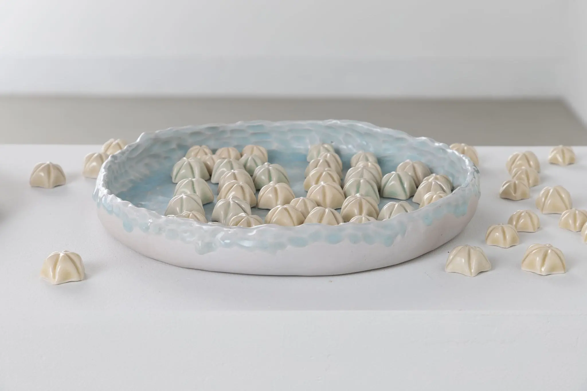 Ceramic shells inside and outside a ceramic blue-sky colored plate on a white table
