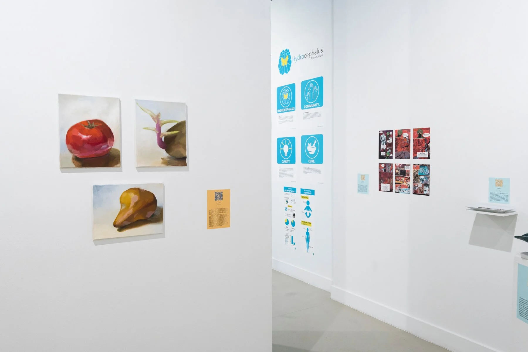 A white room gallery showing different artworks on exhibition