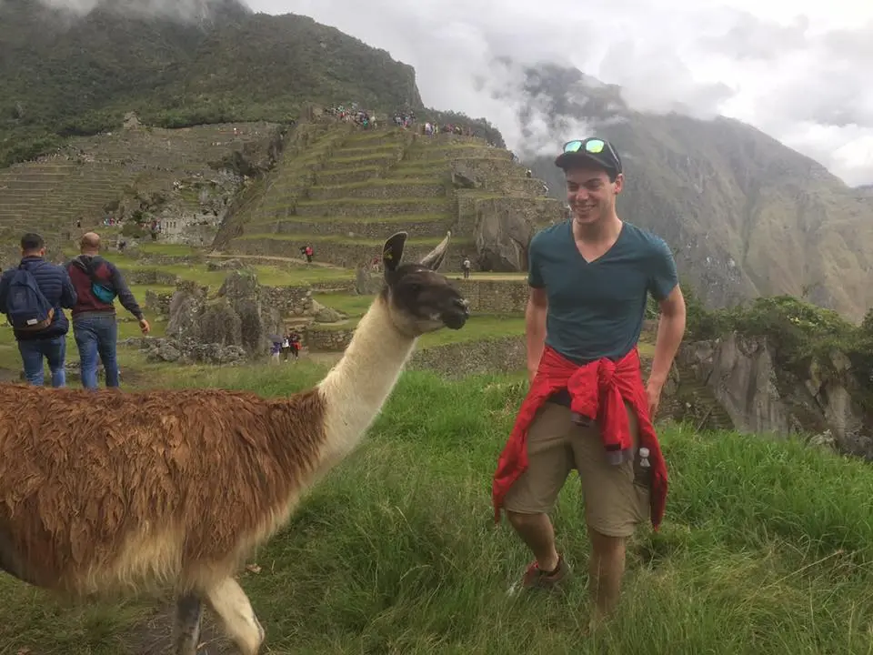 Jonathan Cassidy '19, '22MEd on a green hill in Peru next to a llama