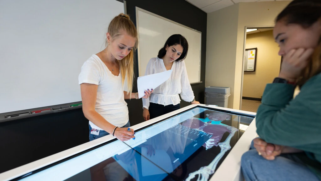 Three physician assistant students work on a project with a skeletal image in a classroom.