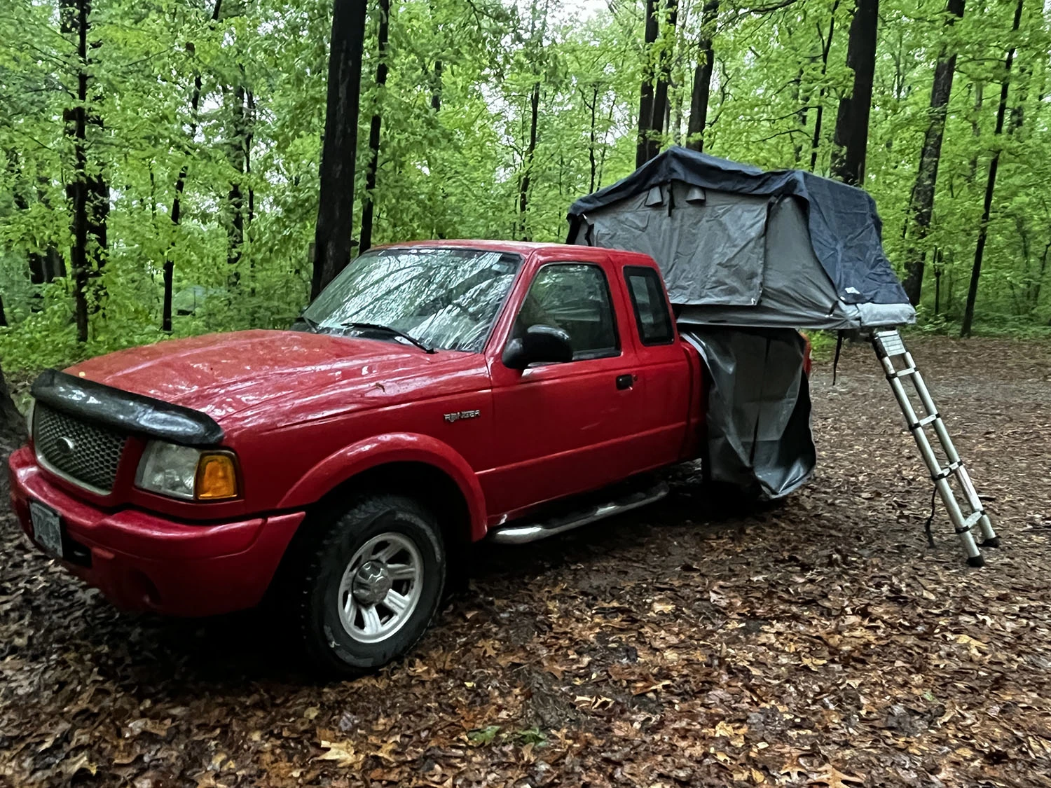 Amellia's pickup truck camping setup.