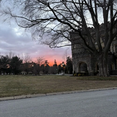 Why Arcadia?