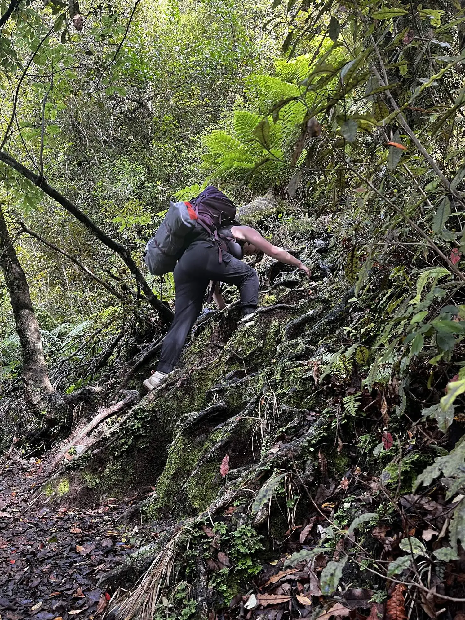 Amellia climbing up some rocks.