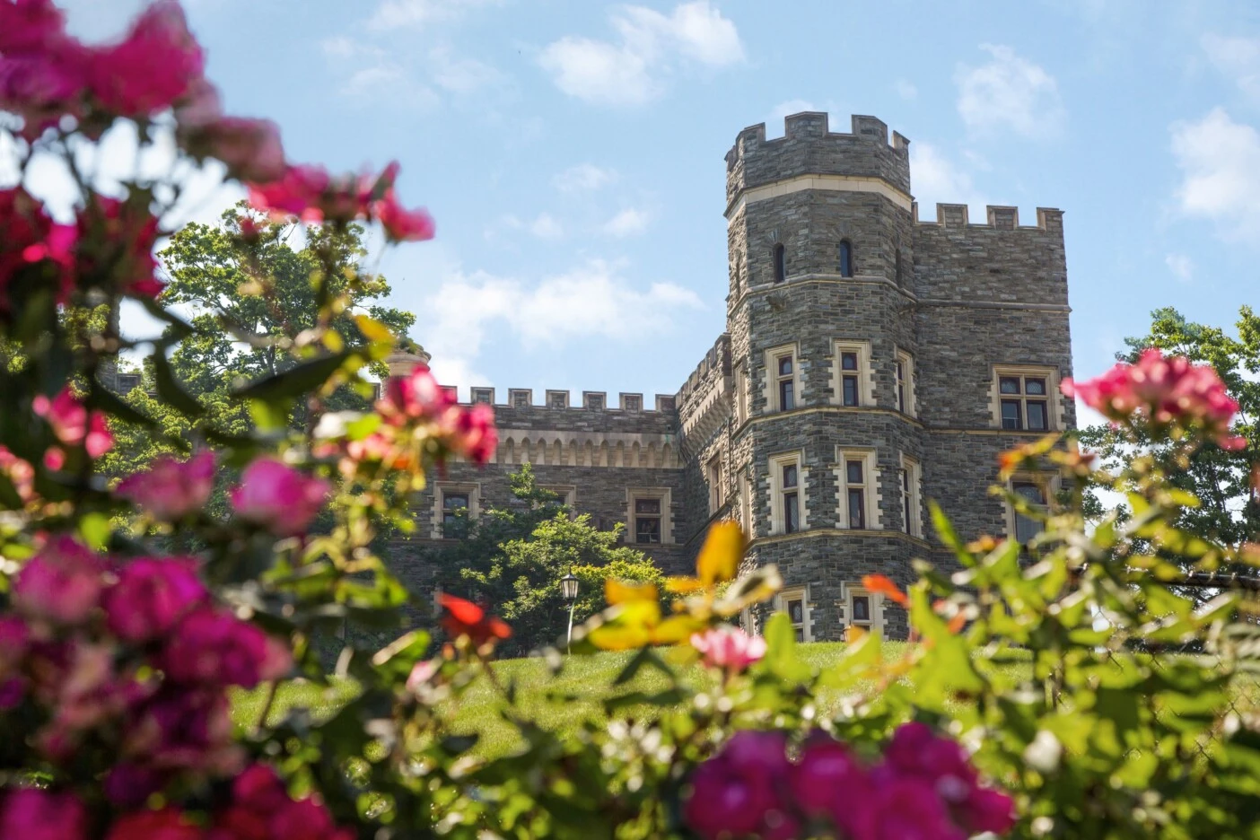 Hero, Castle, grey towers castle, outdoors, outside, flowers